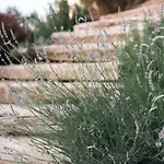 Kikonia Art & شقة فندقية *