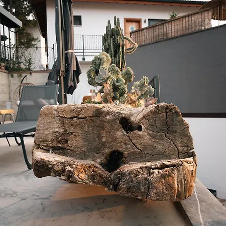 Apart-hotel Kikonia Art &