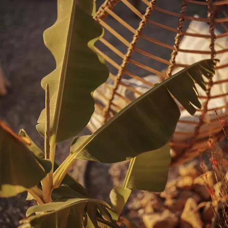 Aparthotel Kikonia Art & Akyaka (Mugla)