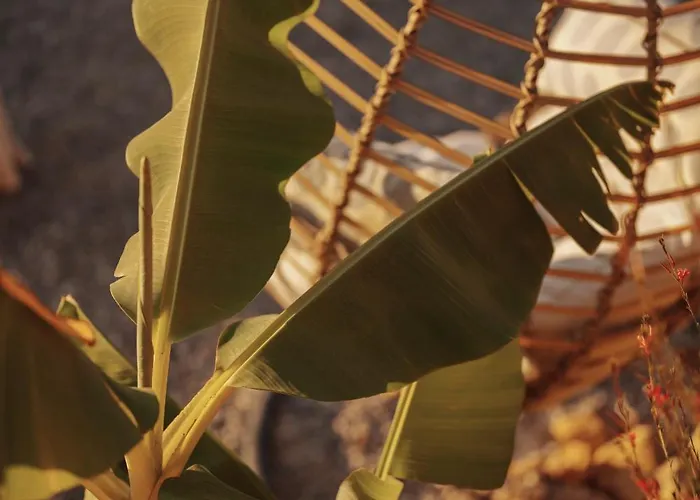 Apartmanhotel Kikonia Art & Akyaka