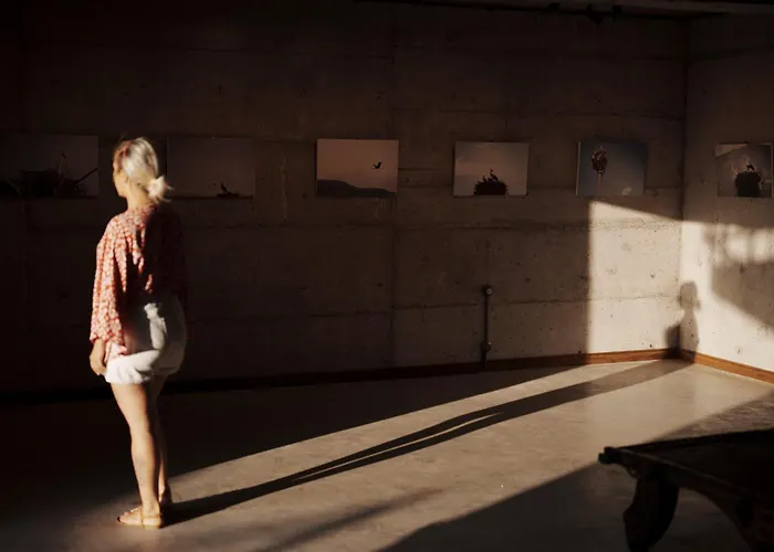 Kikonia Art & Apartmanhotel